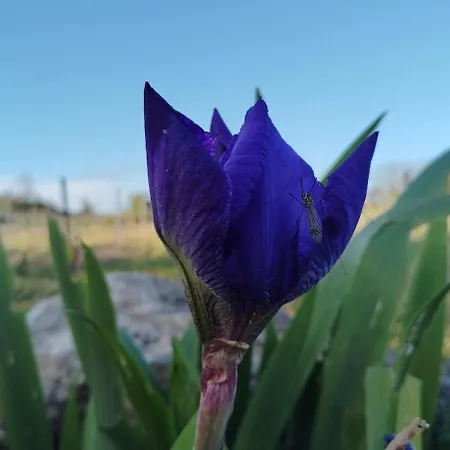L'edenwine Jardin Clos Et Privatif Дом отдыха *
